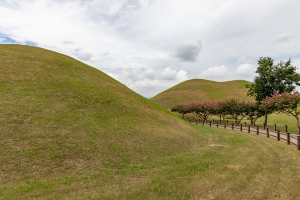 2V2A7392-Enhanced-NR